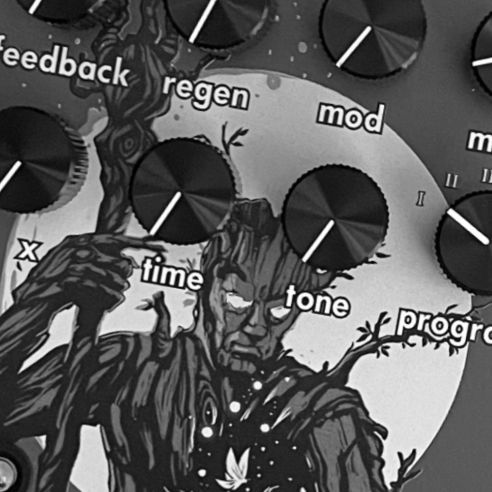 Walrus Audio Fable Granular Soundscape Generator Delay