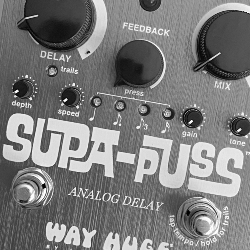 Way Huge Supa Puss Analog Delay