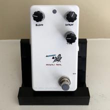 Animals Pedal Relaxing Walrus Delay