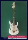 Ibanez PIA3761 Steve Vai Signature